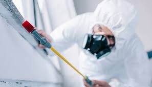 Best Pest Exclusion Services  in Fort Irwin, CA